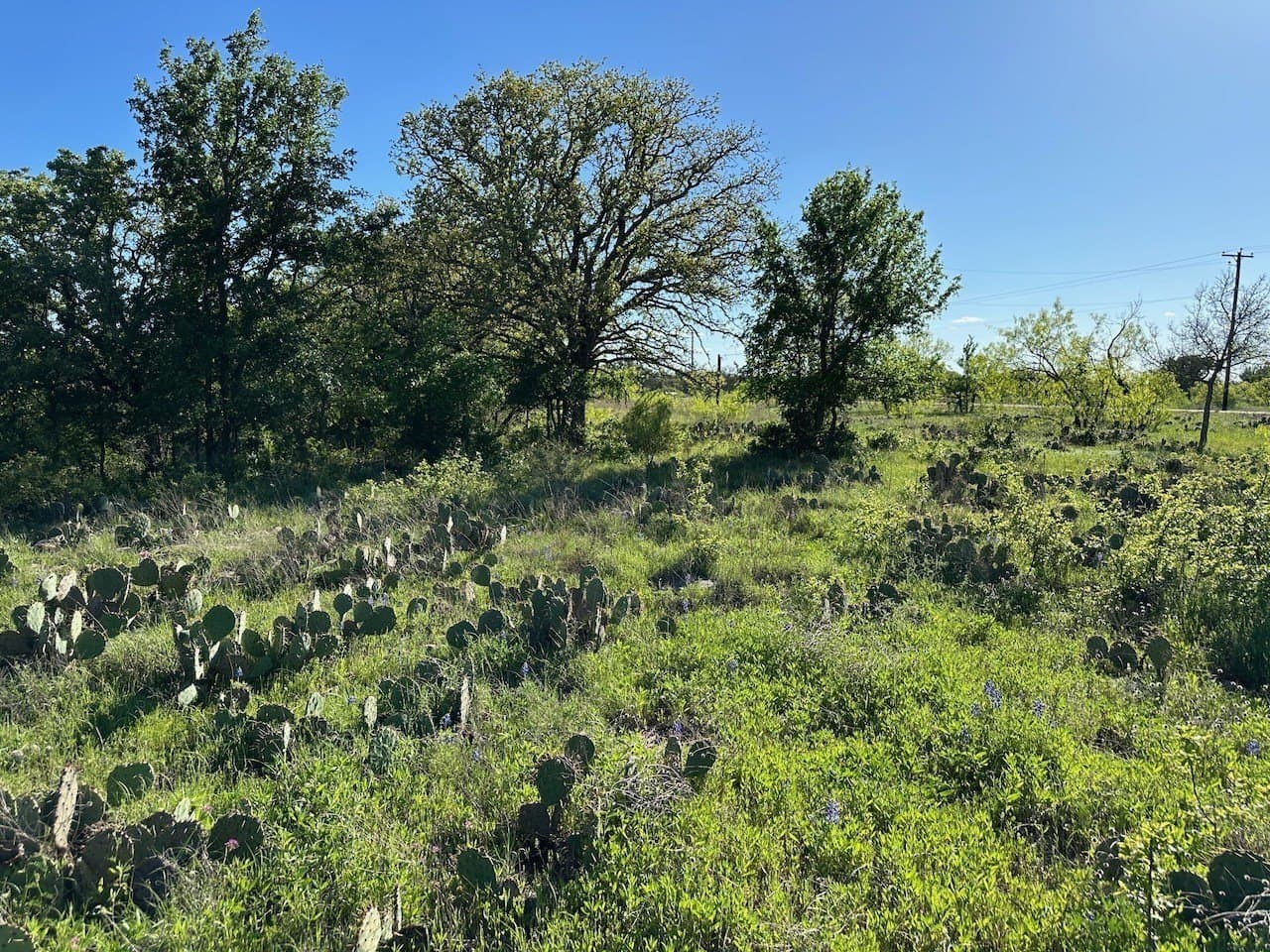 0.46 acres in Brown County - photo 14