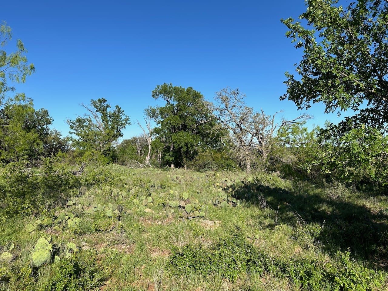 0.46 acres in Brown County - photo 7