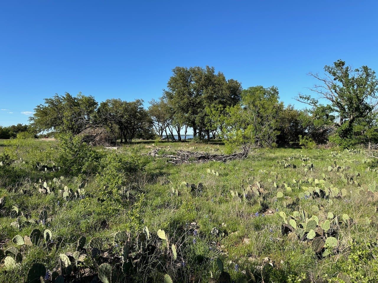0.46 acres in Brown County - photo 8