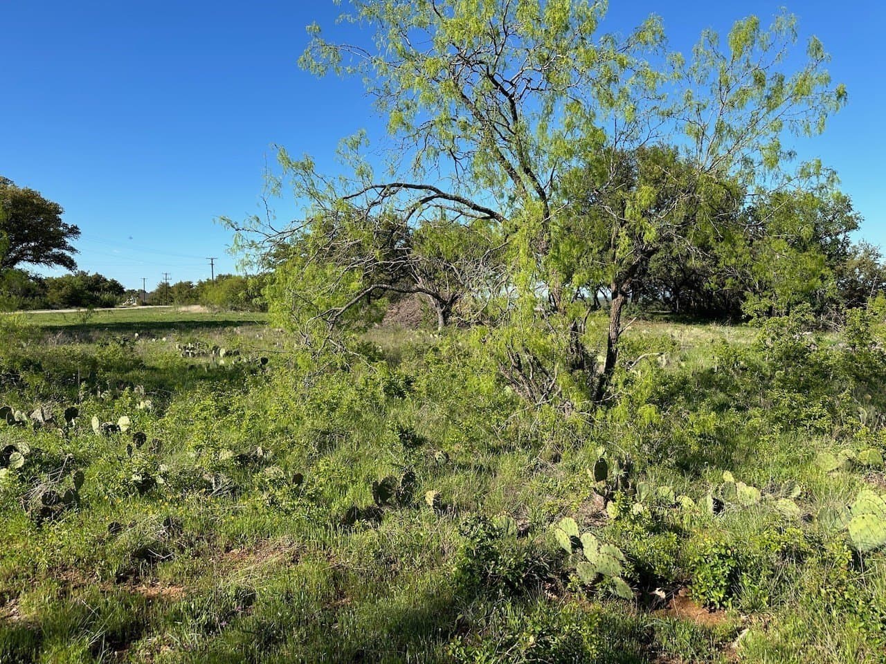 0.46 acres in Brown County - photo 6