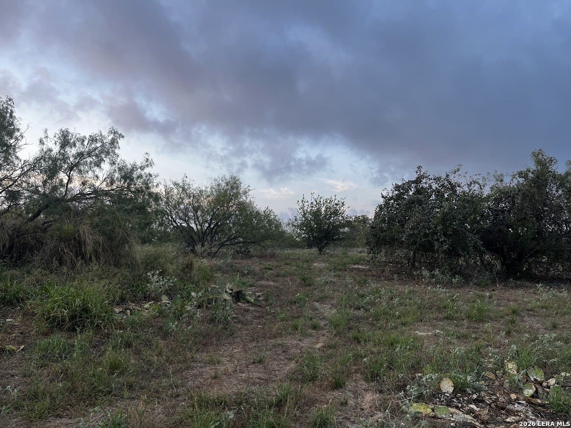 1.97 acres in Atascosa County - photo 5