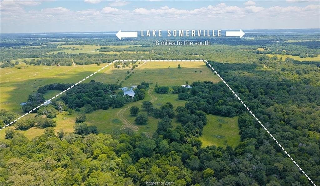 81 acres in Burleson County - photo 33