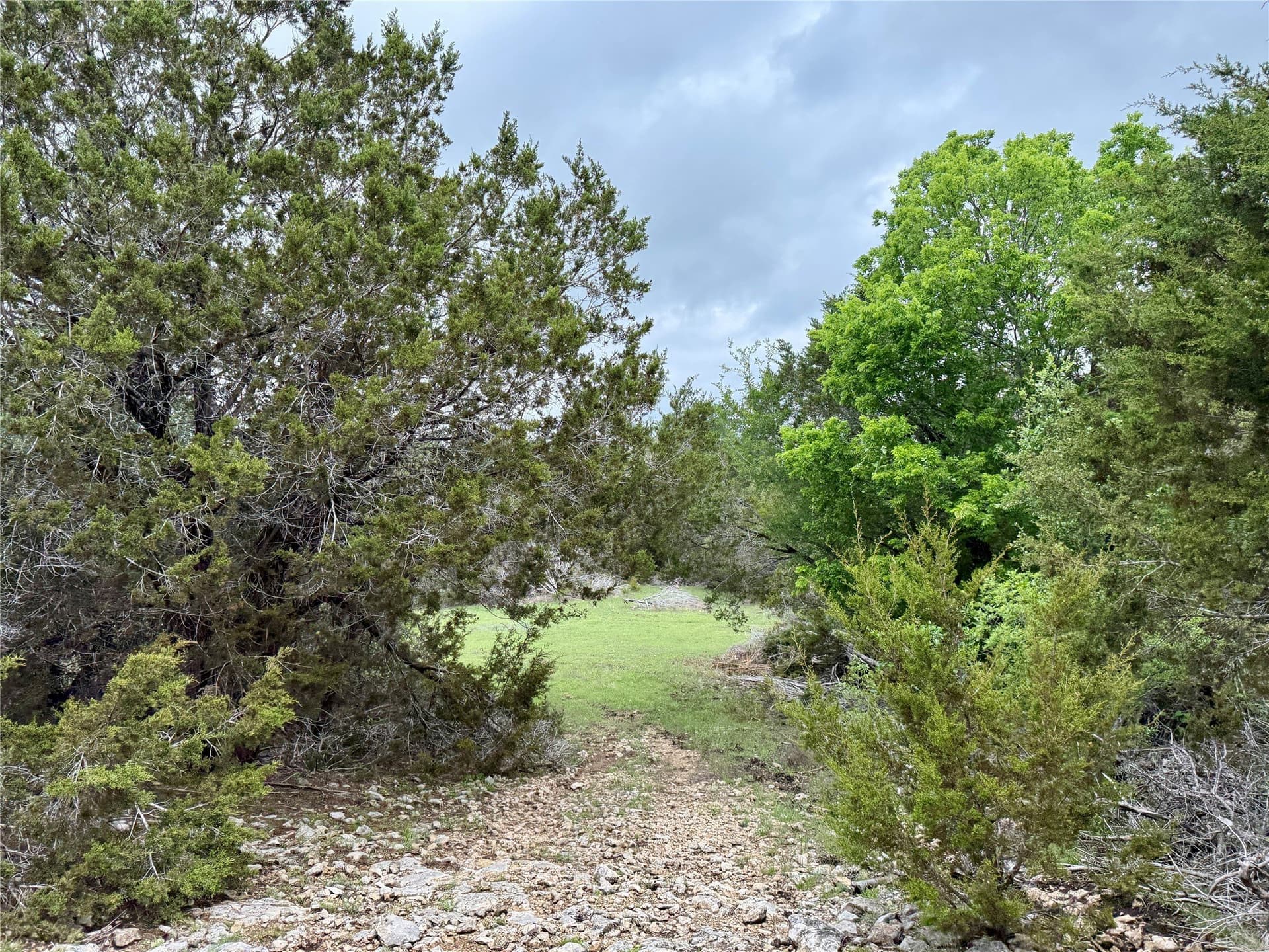50 acres in Burnet County - photo 38