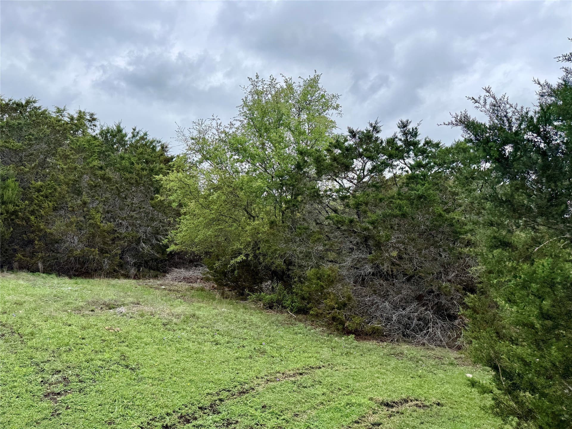 50 acres in Burnet County - photo 32