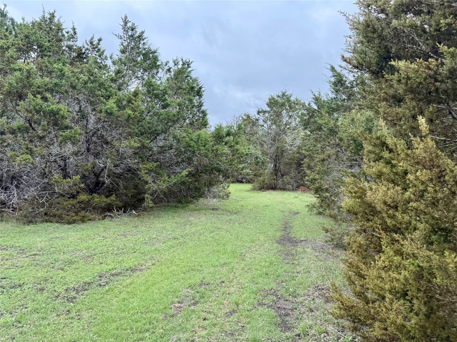 50 acres in Burnet County - photo 27