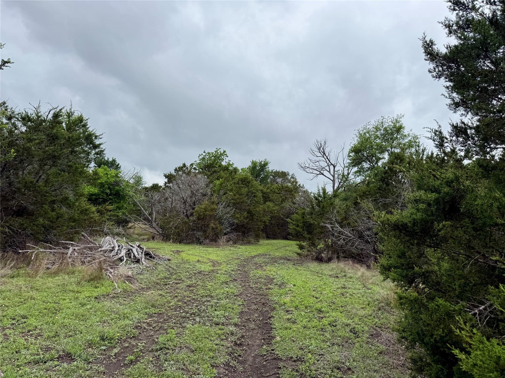 50 acres in Burnet County - photo 24