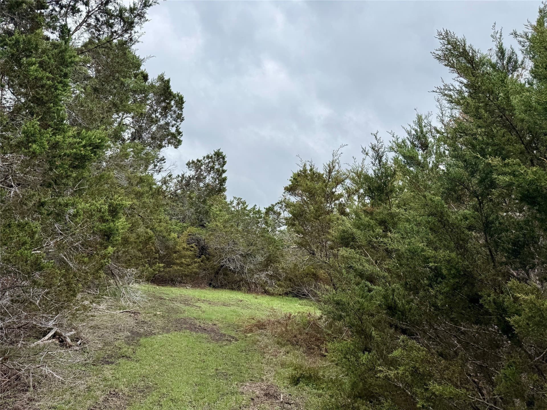 50 acres in Burnet County - photo 28