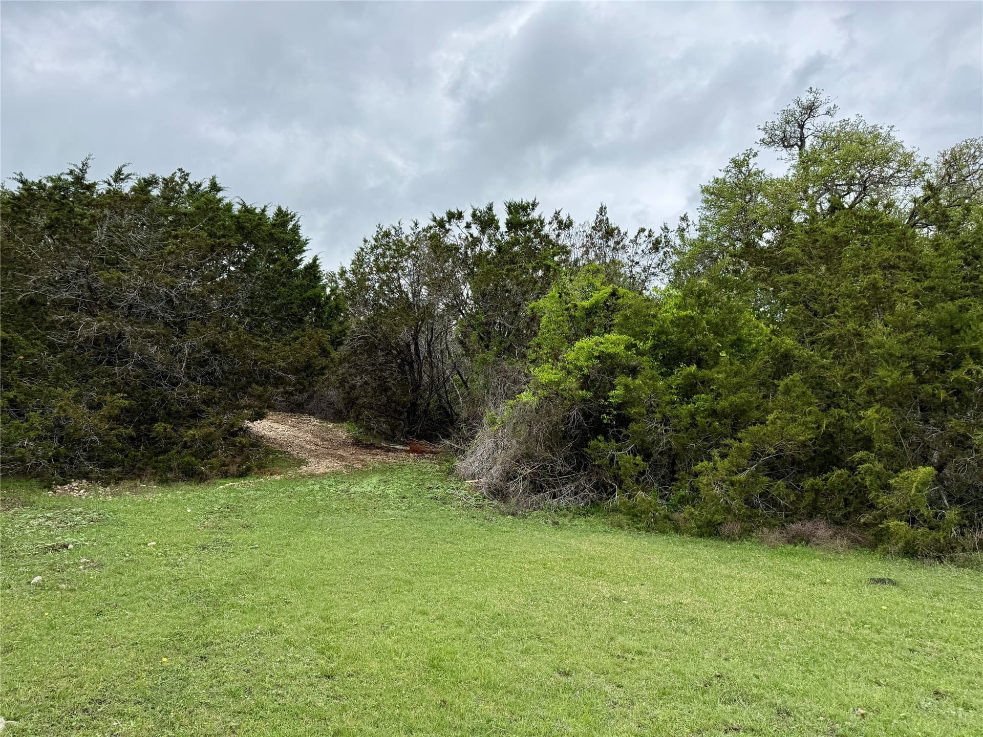 50 acres in Burnet County - photo 39