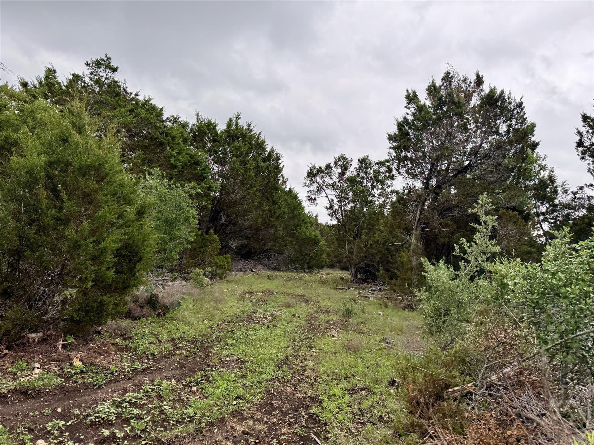 50 acres in Burnet County - photo 17