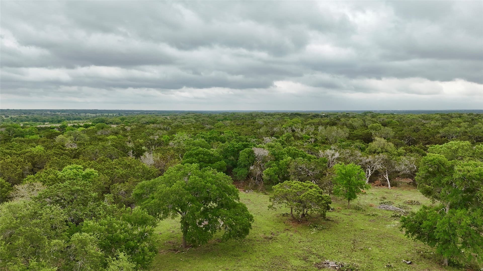 50 acres in Burnet County - photo 8