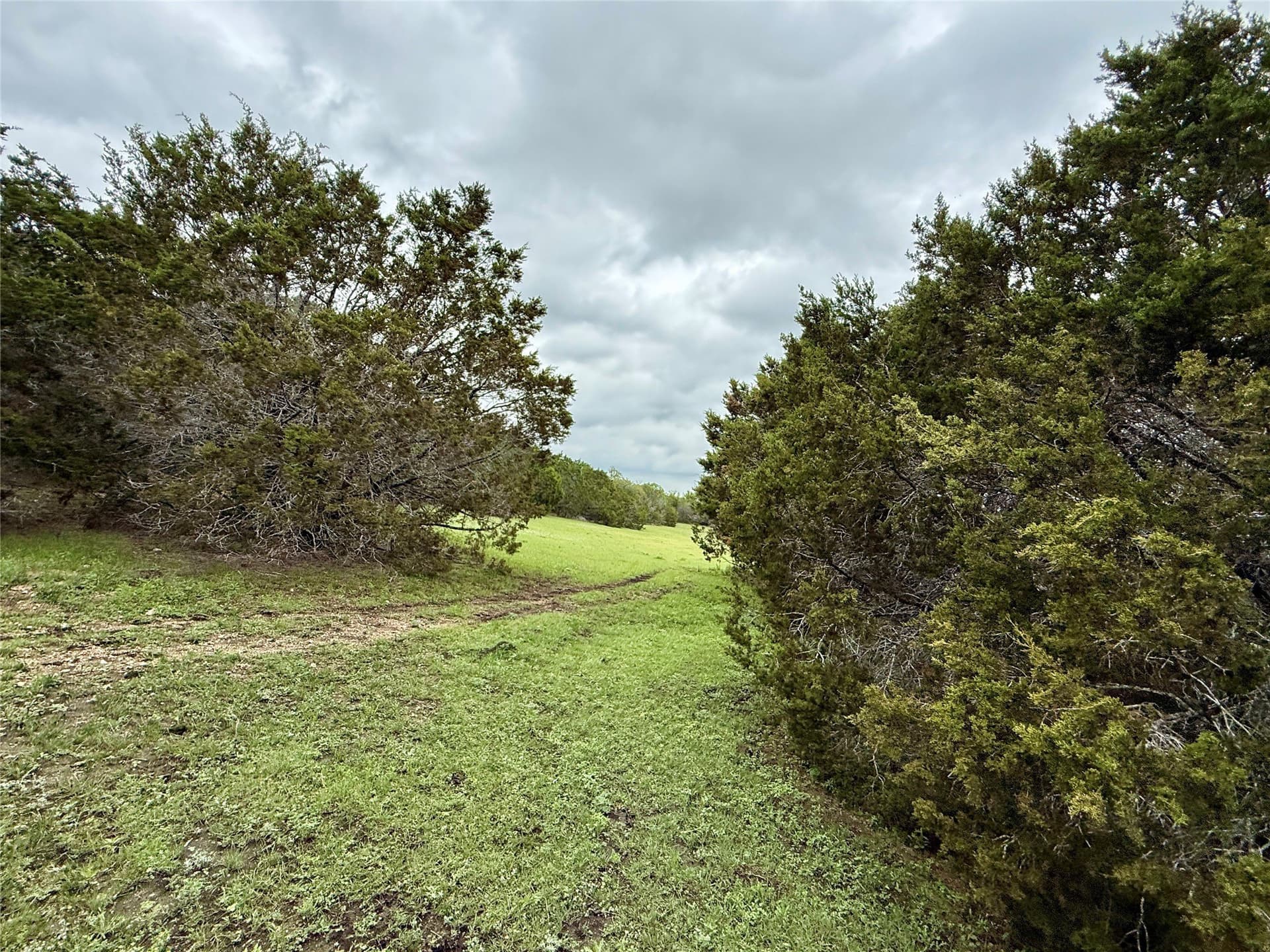 50 acres in Burnet County - photo 36