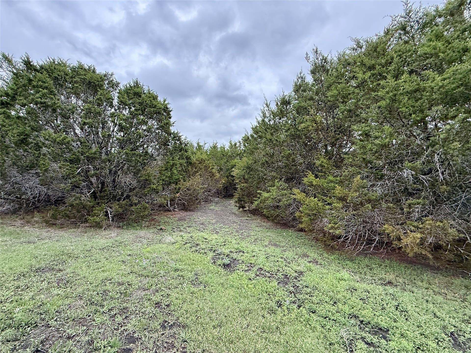 50 acres in Burnet County - photo 34