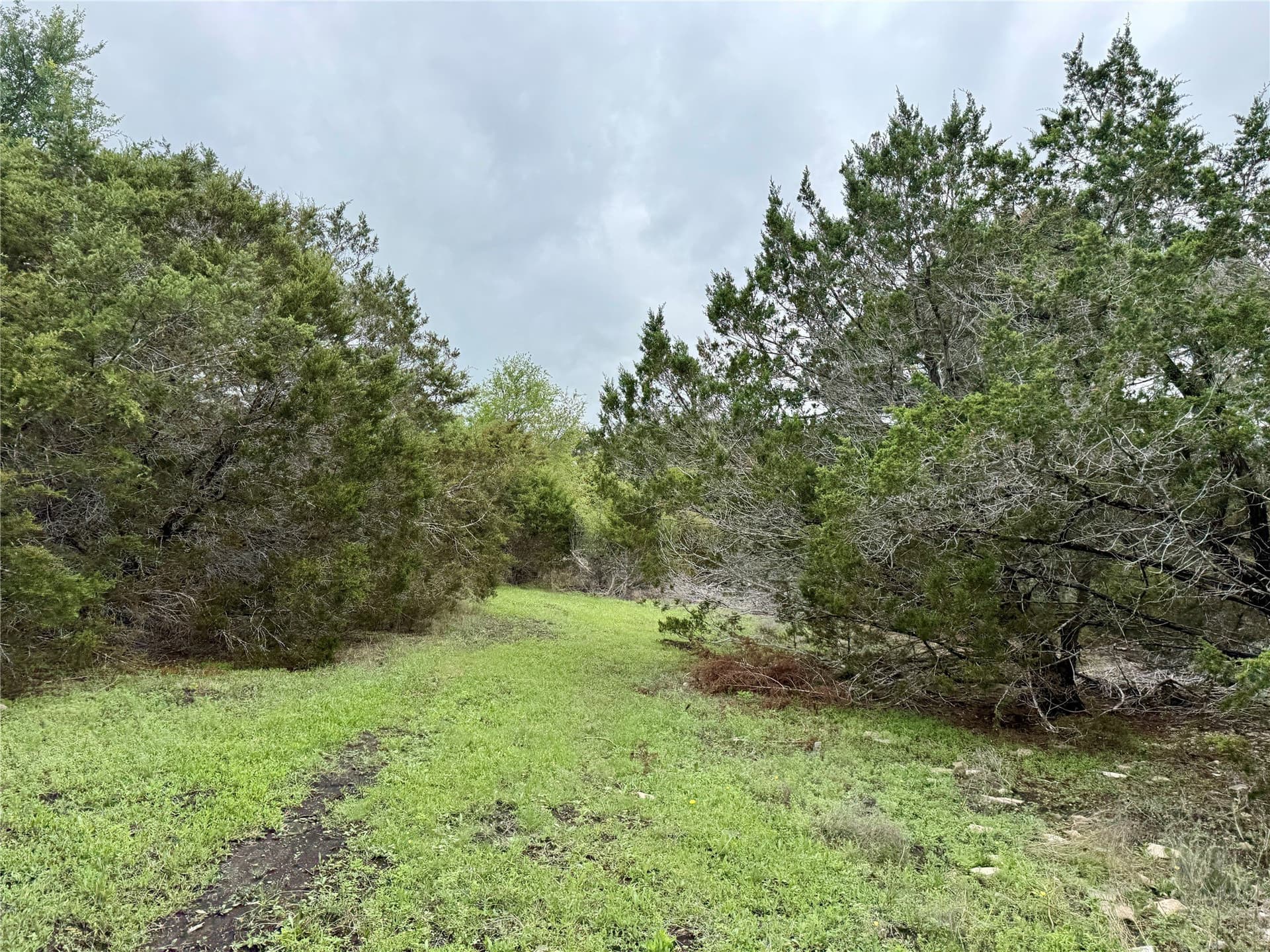 50 acres in Burnet County - photo 25