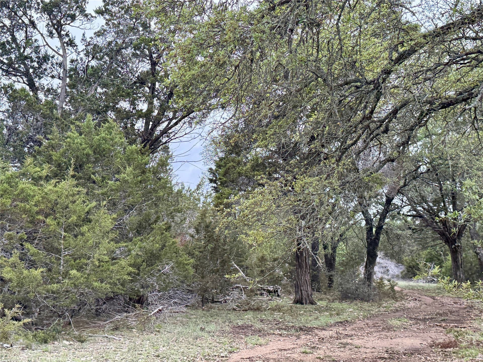 50 acres in Burnet County gallery image 2