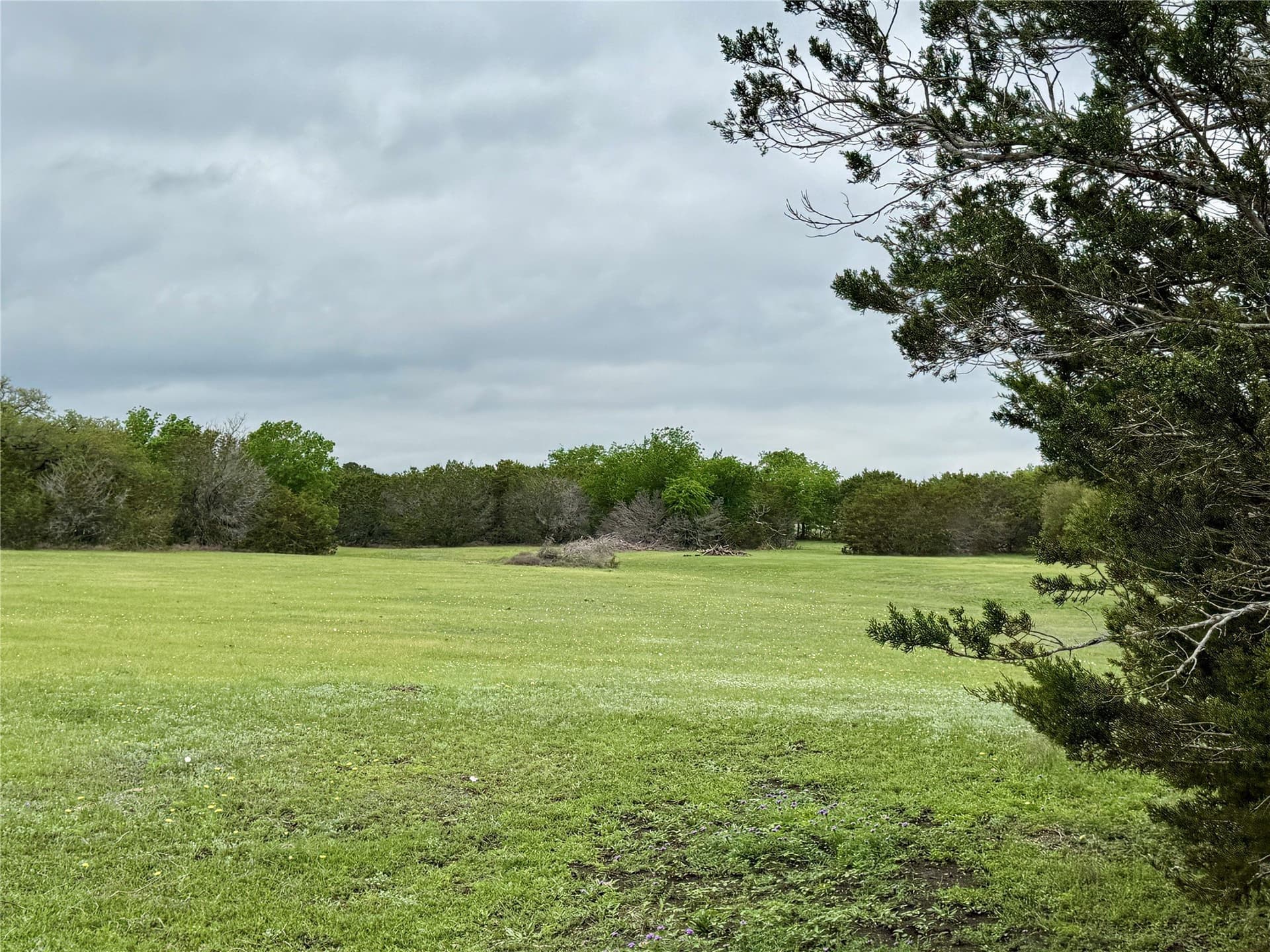 50 acres in Burnet County - photo 23