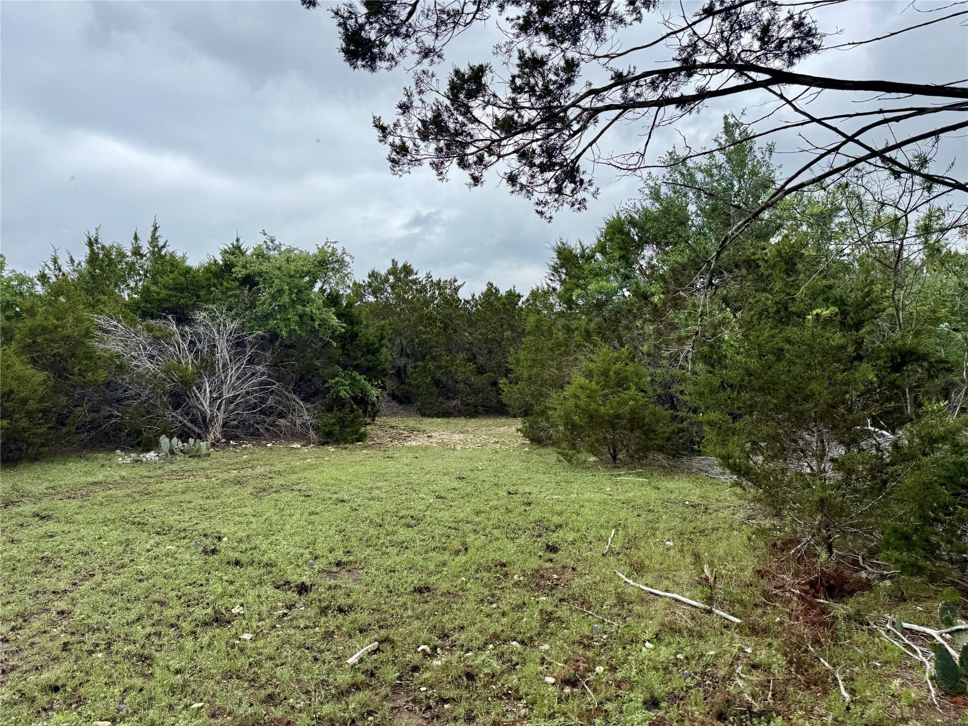 50 acres in Burnet County - photo 16
