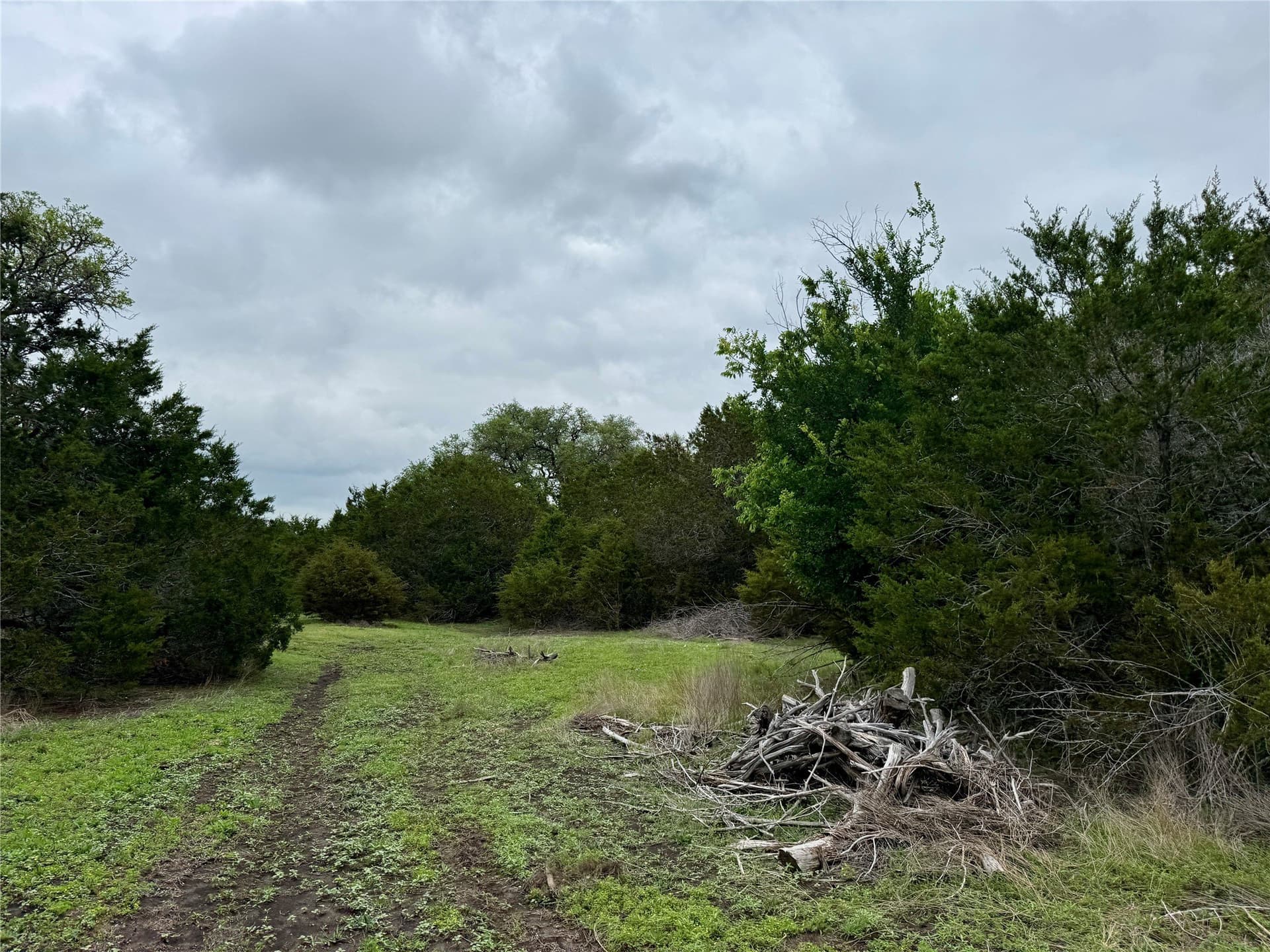 50 acres in Burnet County - photo 33