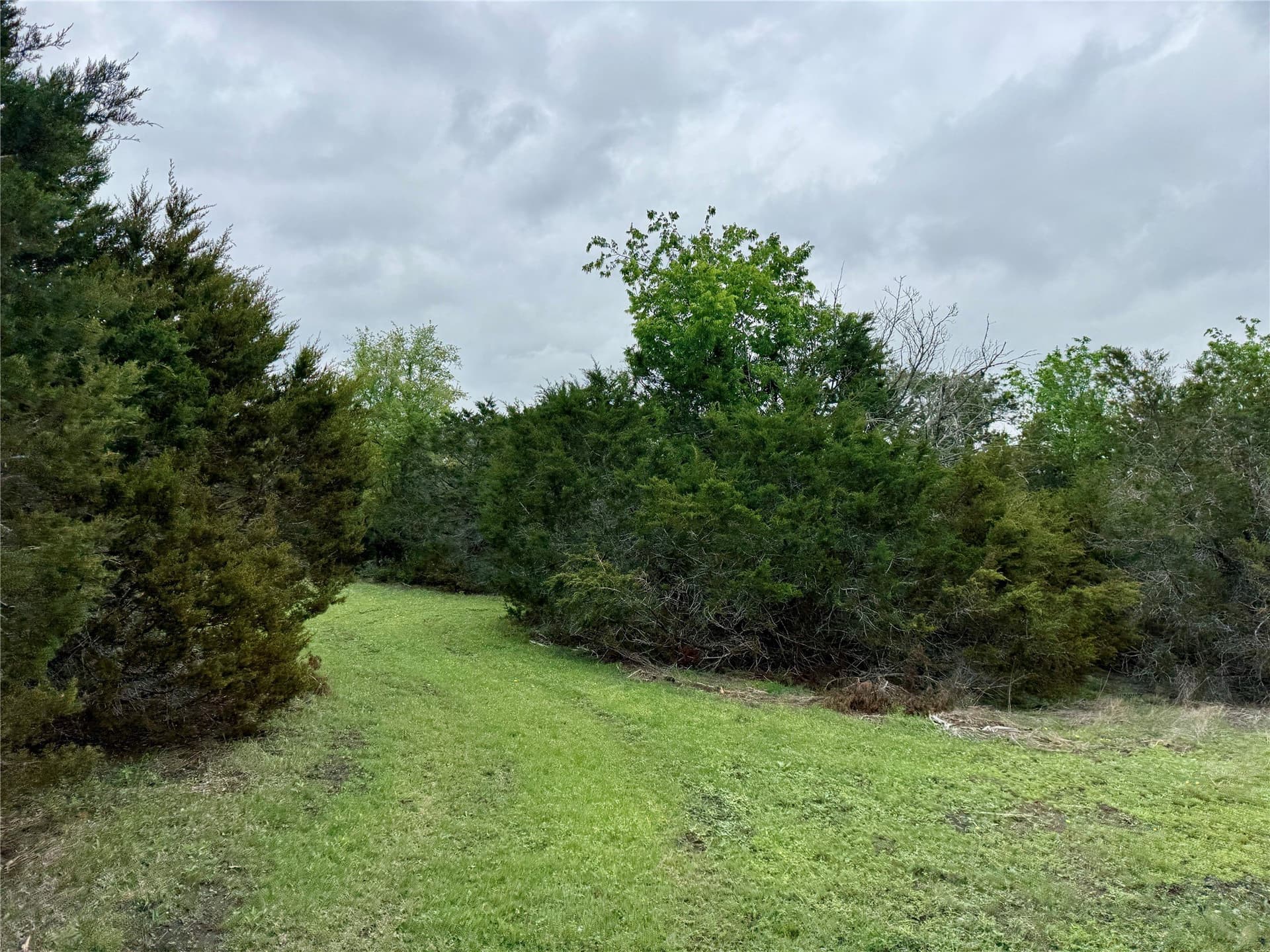 50 acres in Burnet County - photo 31