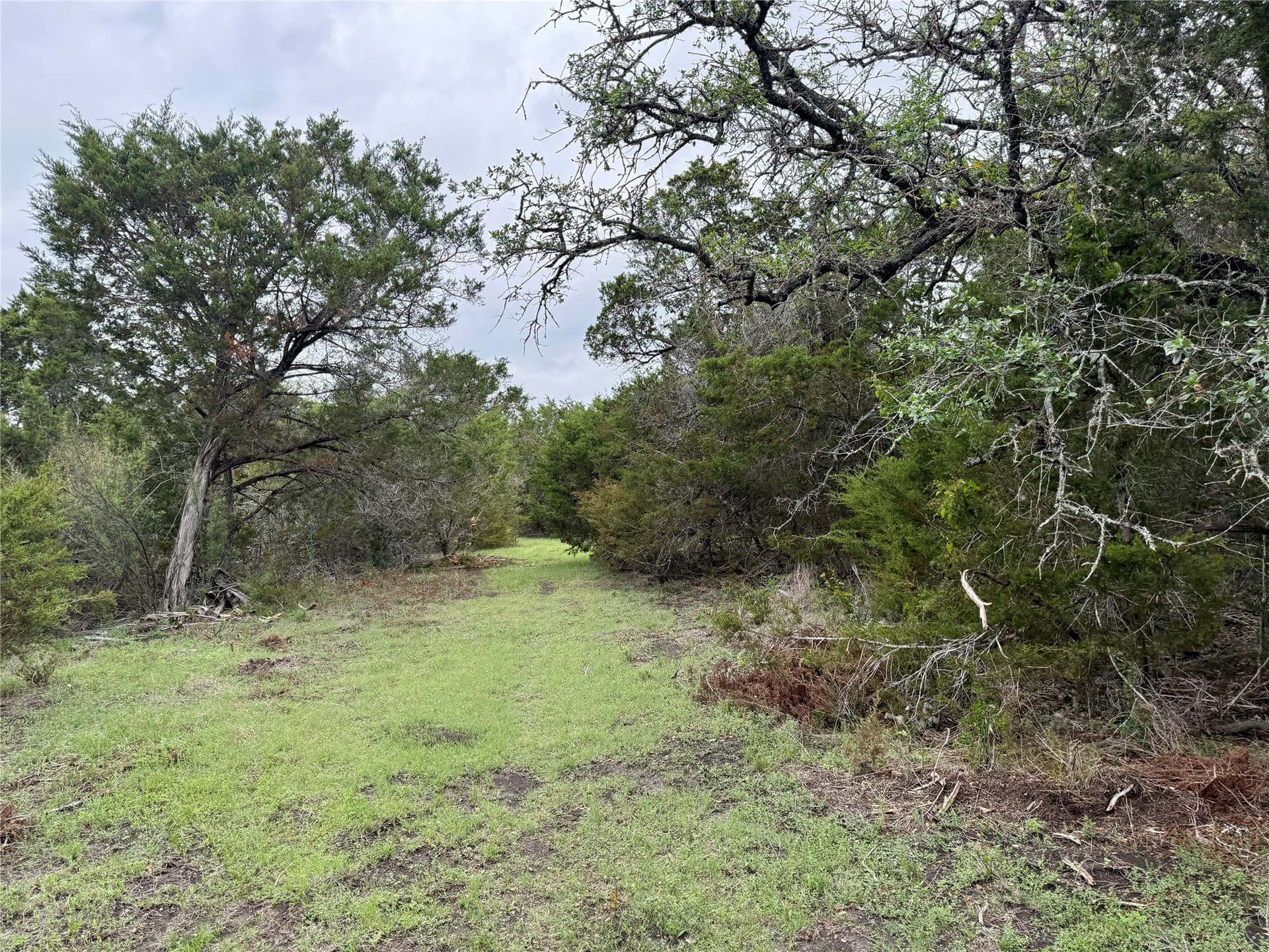 50 acres in Burnet County - photo 30