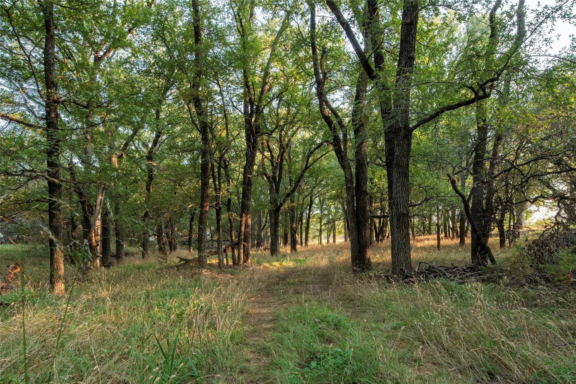 466.52 acres in Coryell County - photo 37