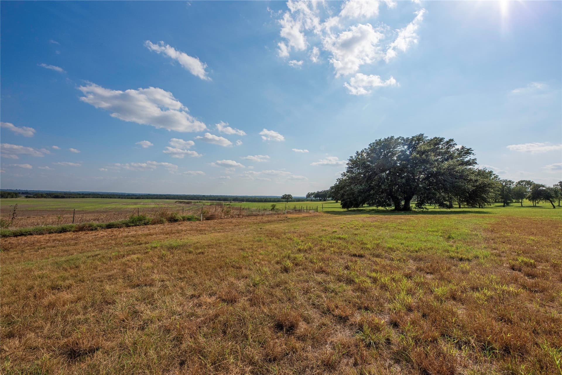 466.52 acres in Coryell County - photo 28