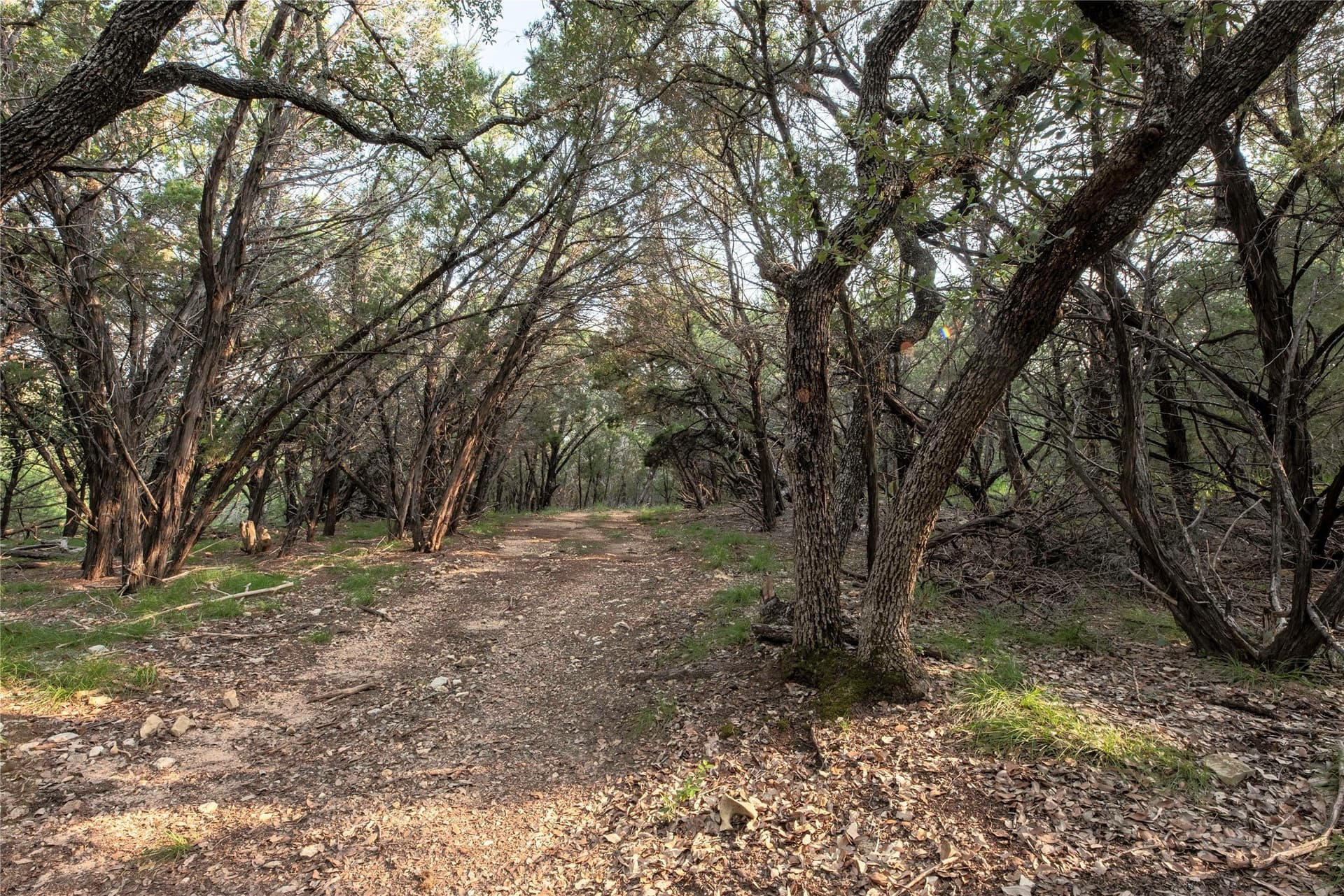 466.52 acres in Coryell County - photo 30