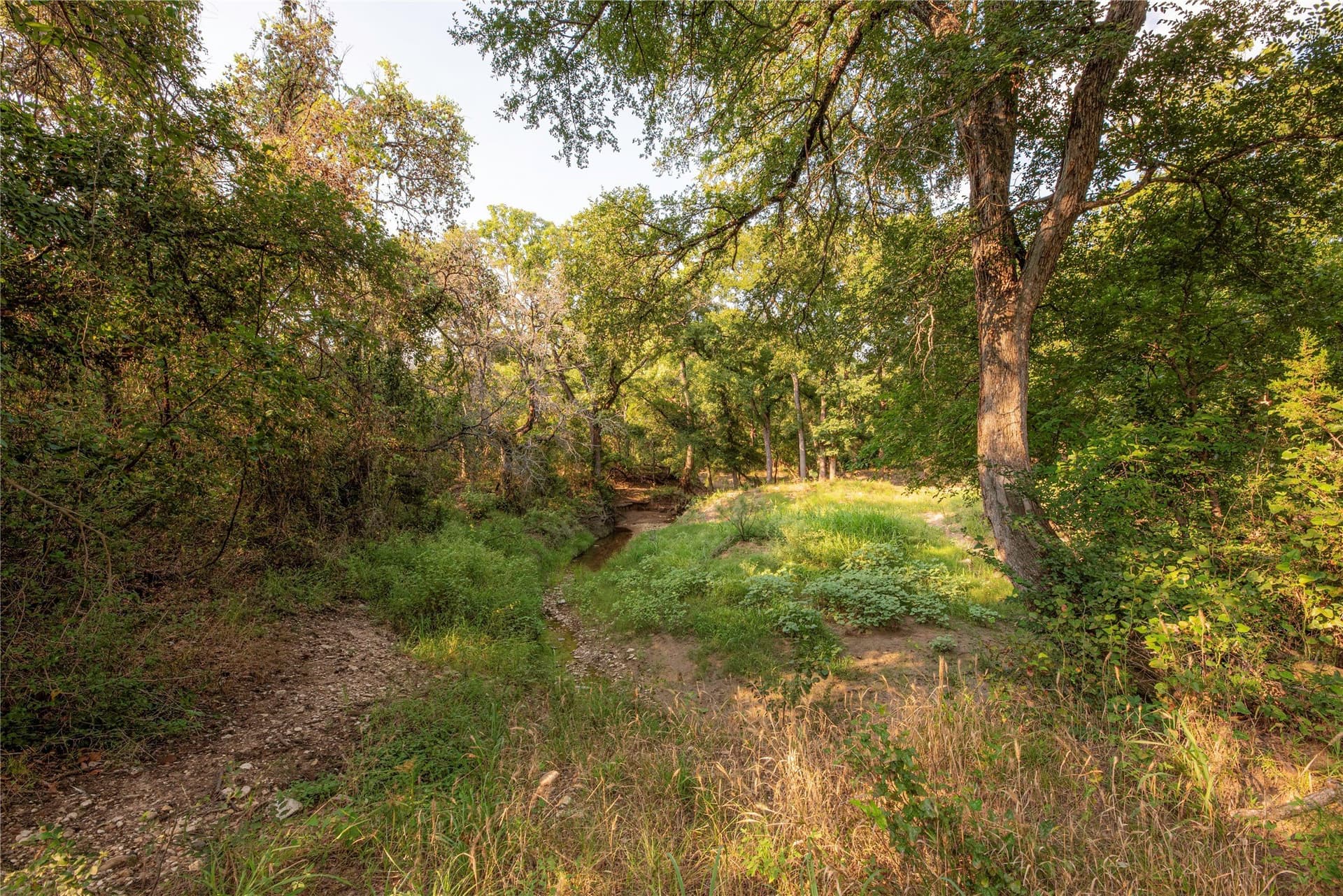 466.52 acres in Coryell County - photo 33