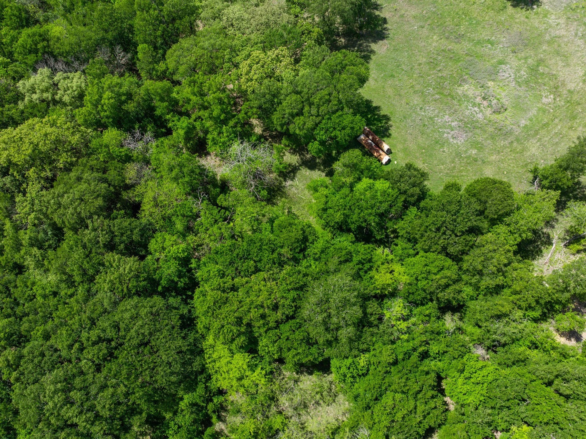 1.2 acres in Hill County - photo 15