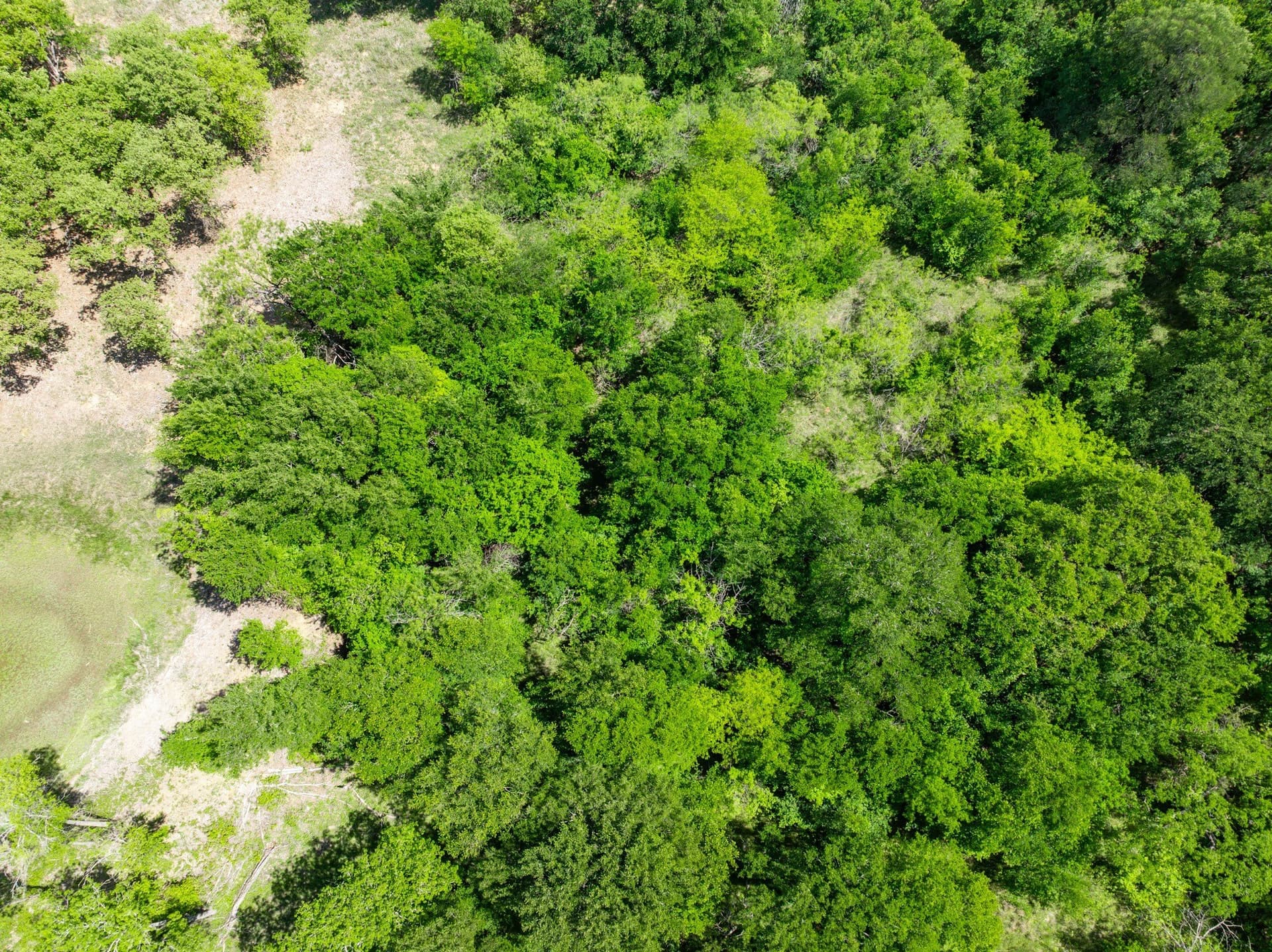 1.2 acres in Hill County - photo 17