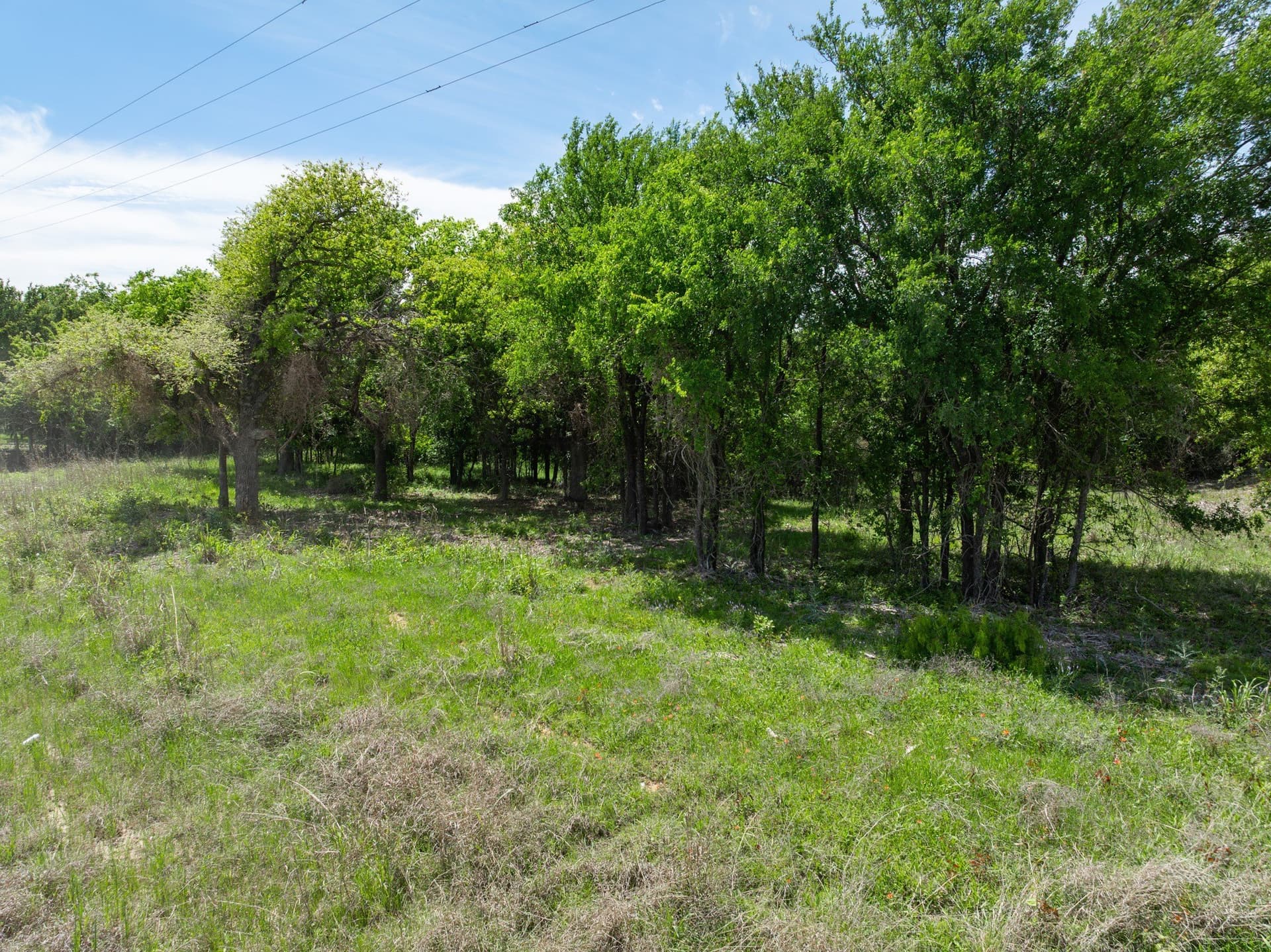 1.2 acres in Hill County gallery image 2