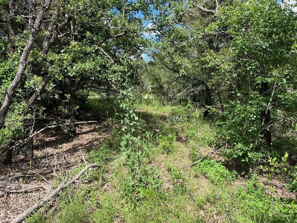 1.72 acres in Palo Pinto County featured view