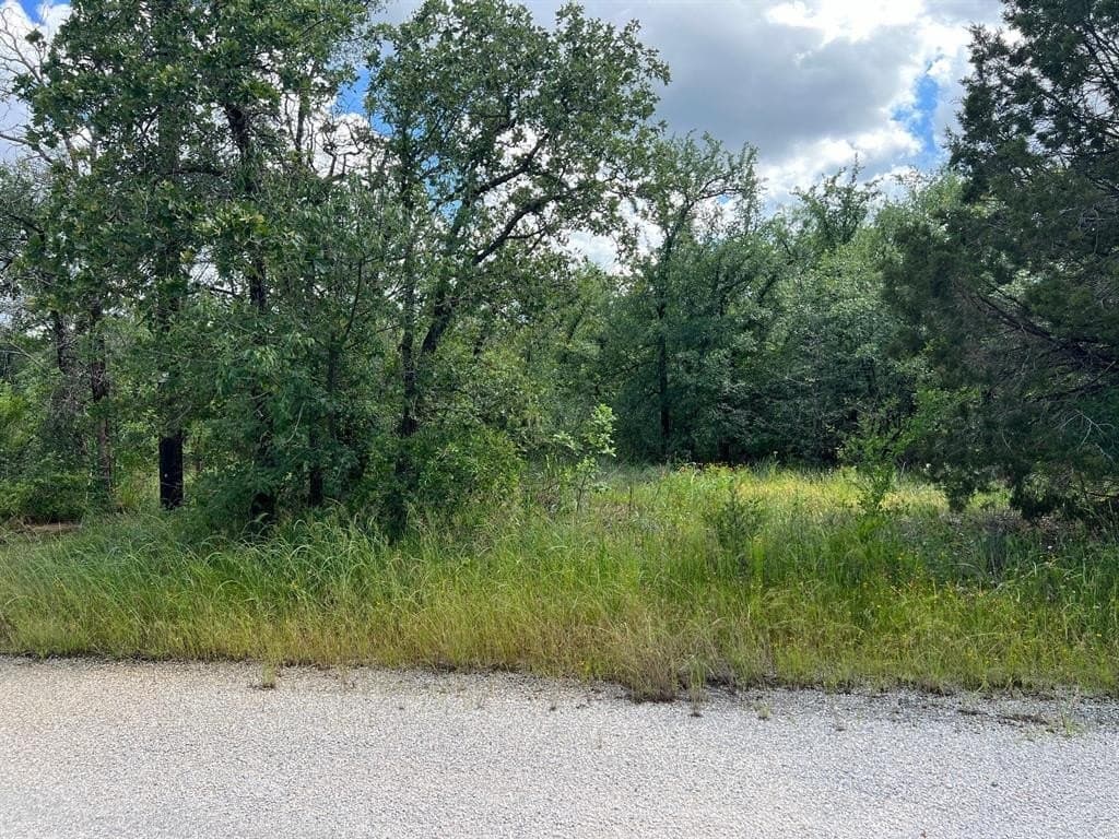 1.72 acres in Palo Pinto County gallery image 3