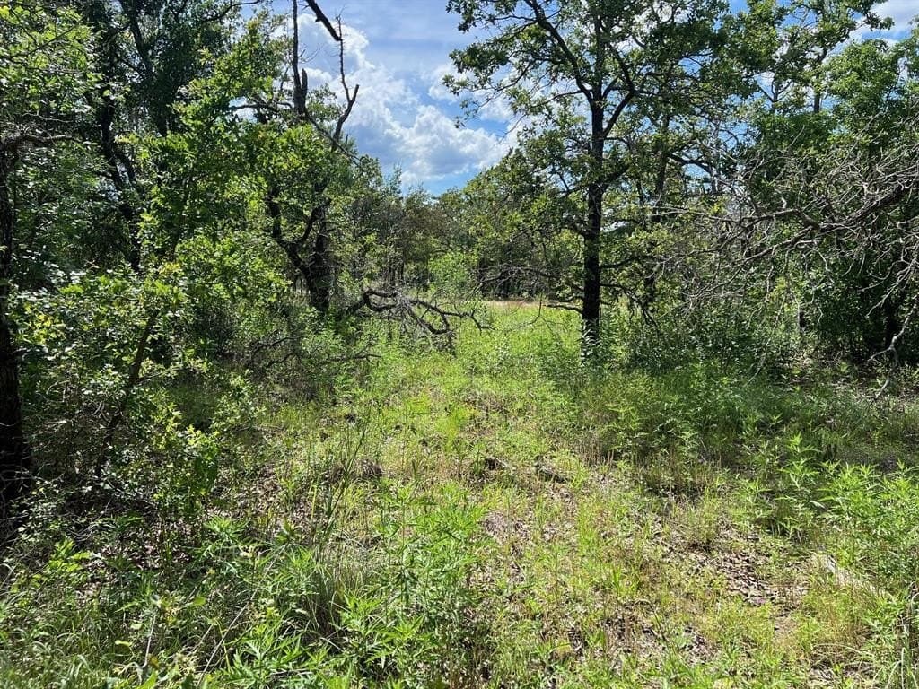 1.72 acres in Palo Pinto County gallery image 4