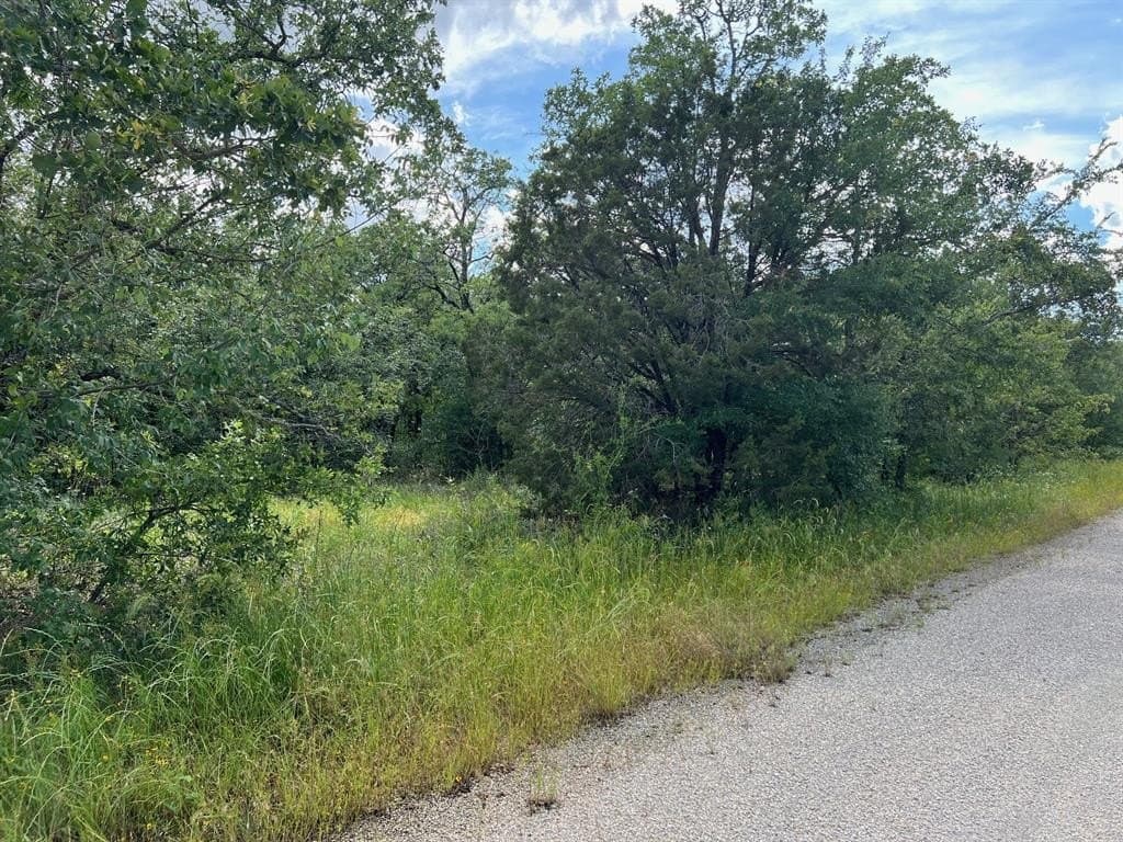 1.72 acres in Palo Pinto County gallery image 2