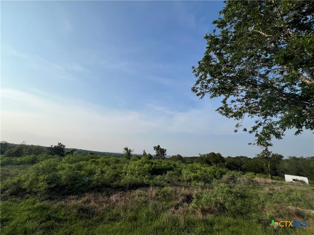 7 acres in Travis County gallery image 3