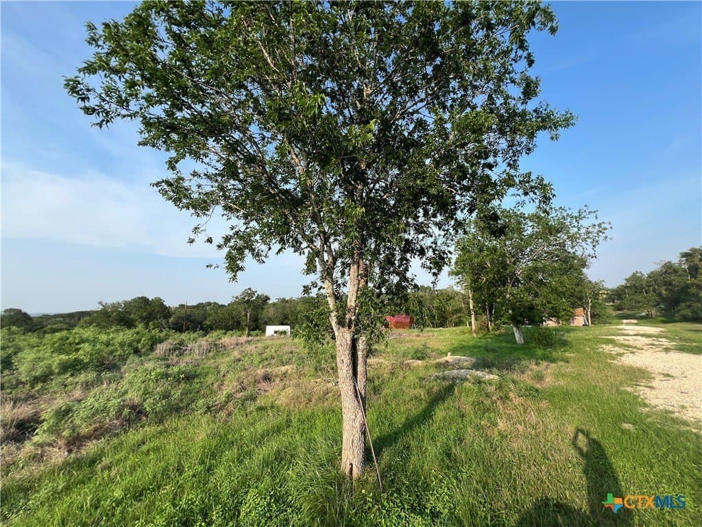 7 acres in Travis County gallery image 4