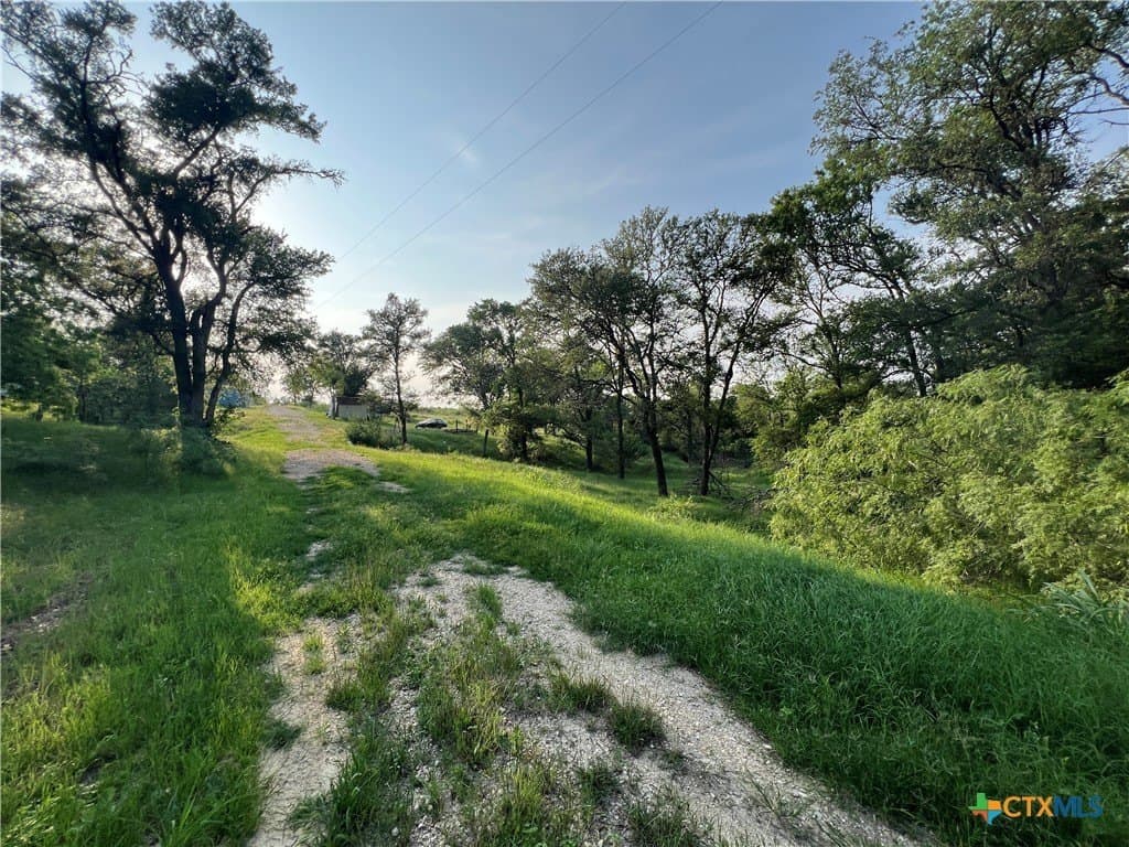 7 acres in Travis County gallery image 2
