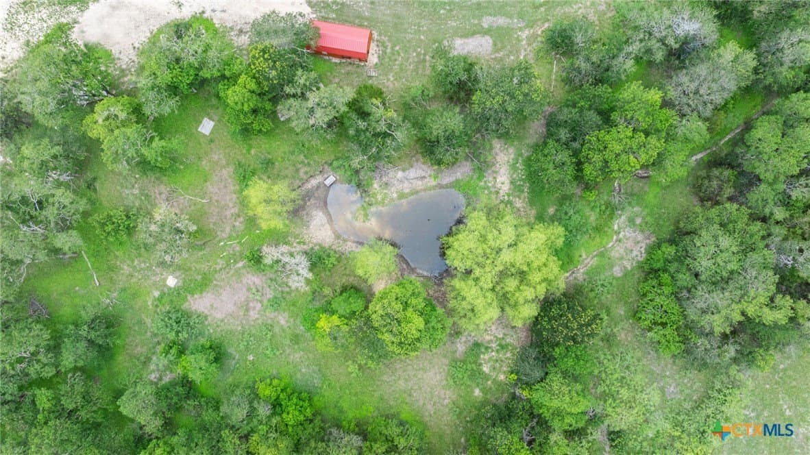 7 acres in Travis County - photo 12