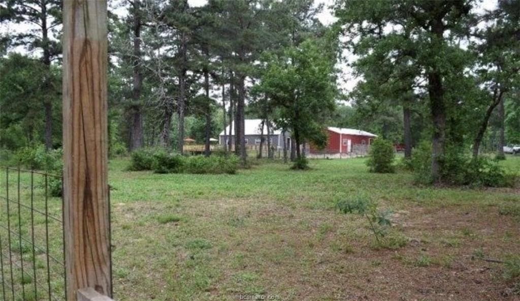 11.88 acres in Leon County - photo 16