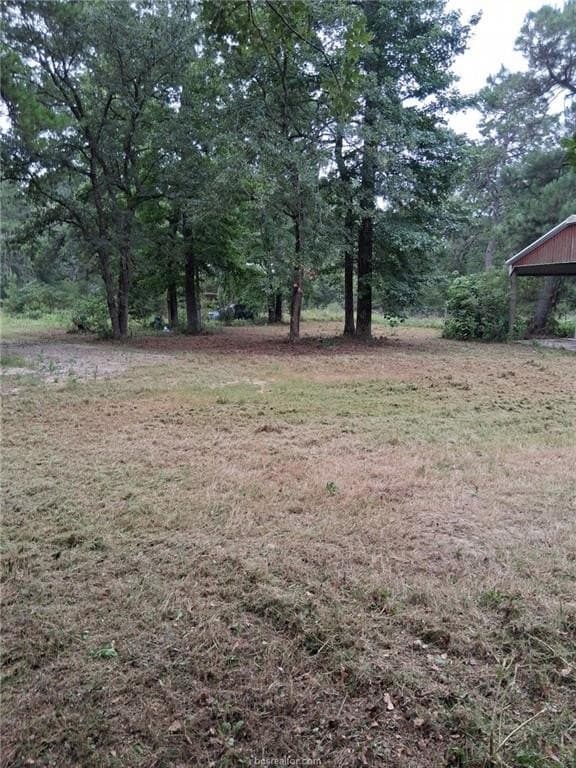 11.88 acres in Leon County - photo 7