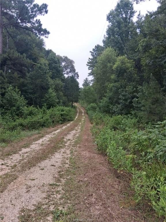 11.88 acres in Leon County - photo 9