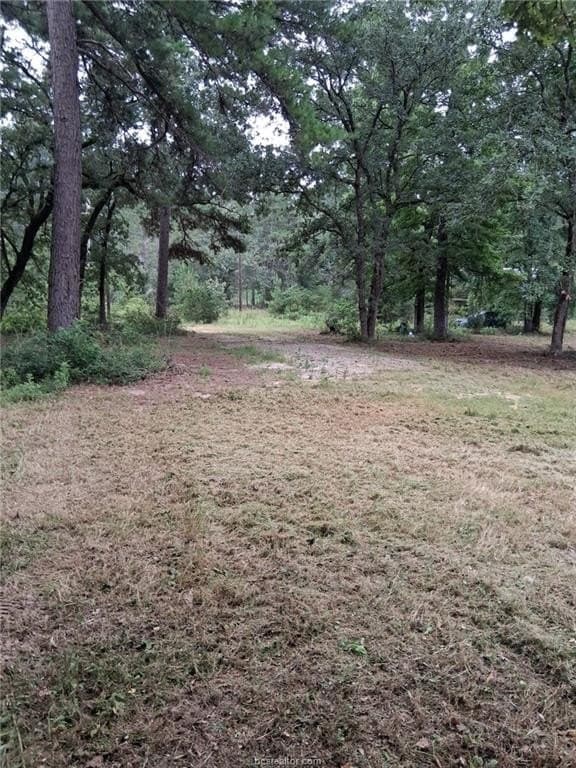 11.88 acres in Leon County - photo 8