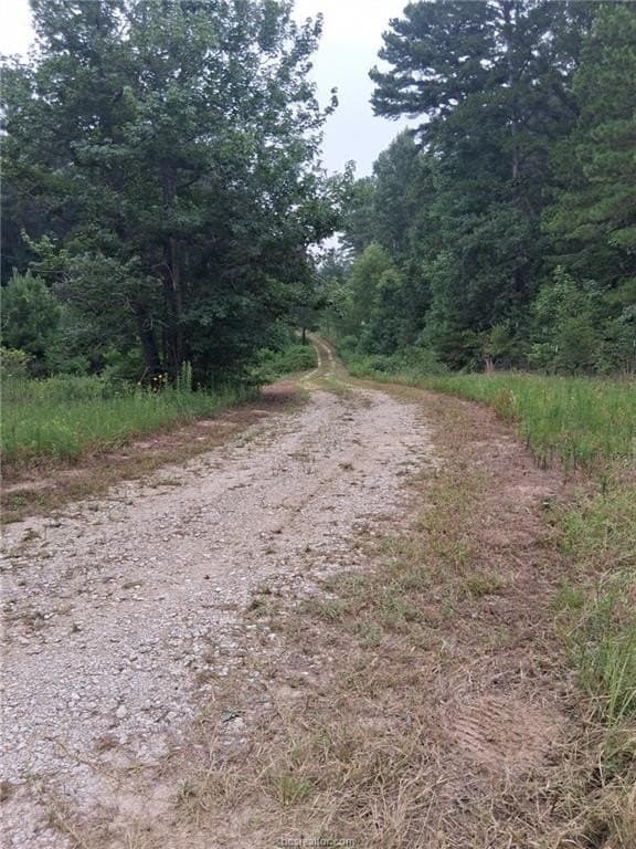11.88 acres in Leon County - photo 5