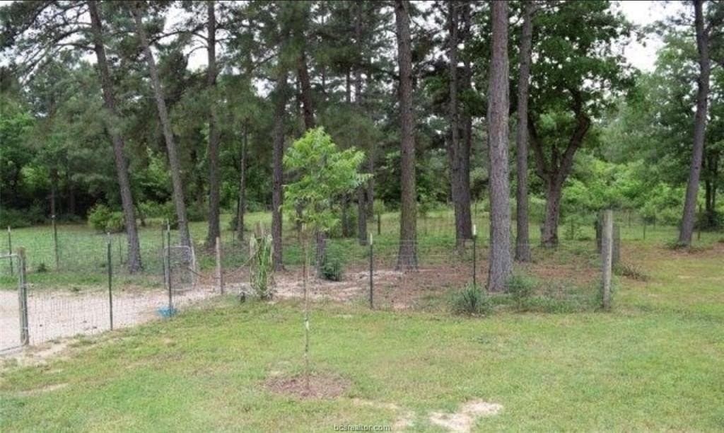 11.88 acres in Leon County - photo 17