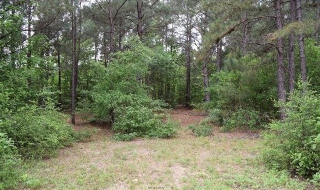 11.88 acres in Leon County featured view