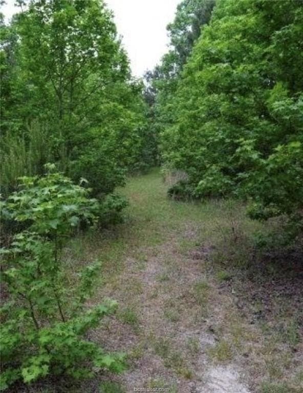 11.88 acres in Leon County - photo 23