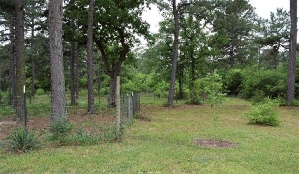 11.88 acres in Leon County - photo 24