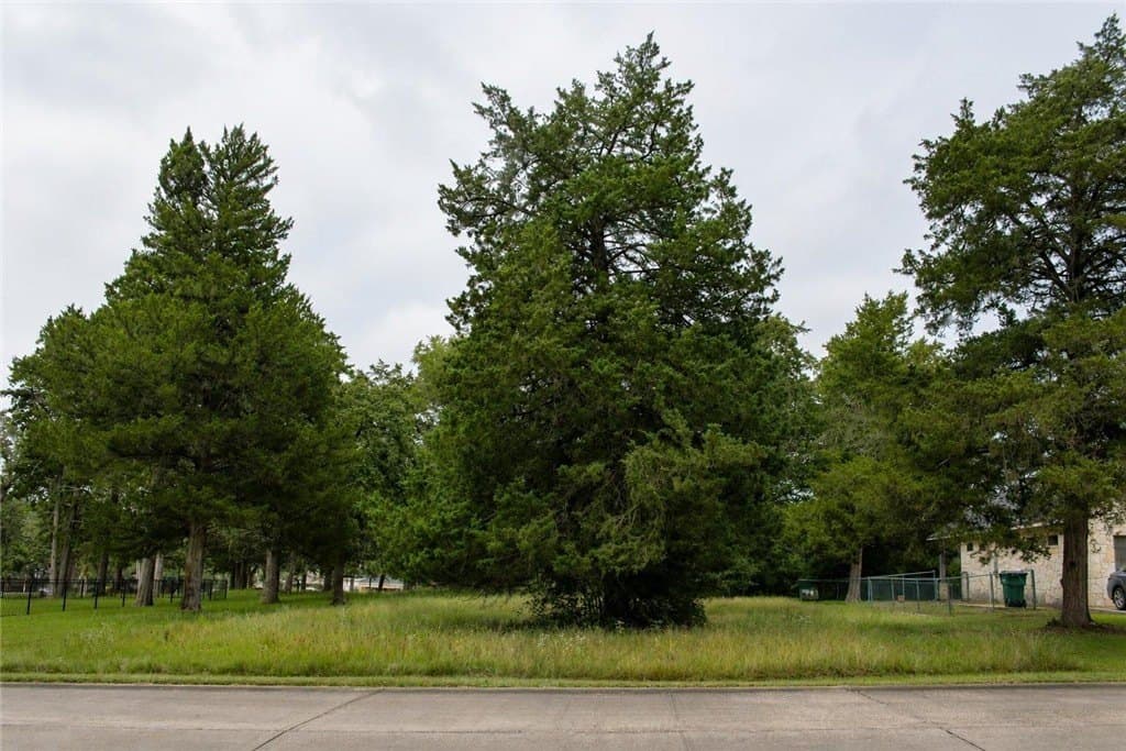 0.19 acres in COLORADO County