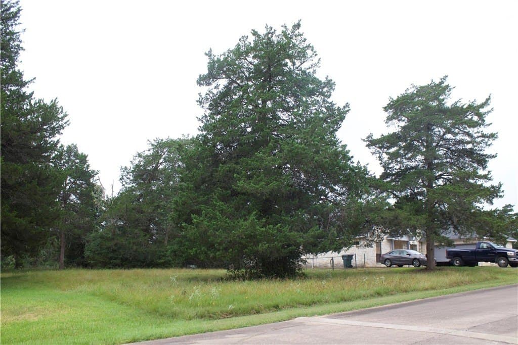 0.19 acres in COLORADO County - photo 2