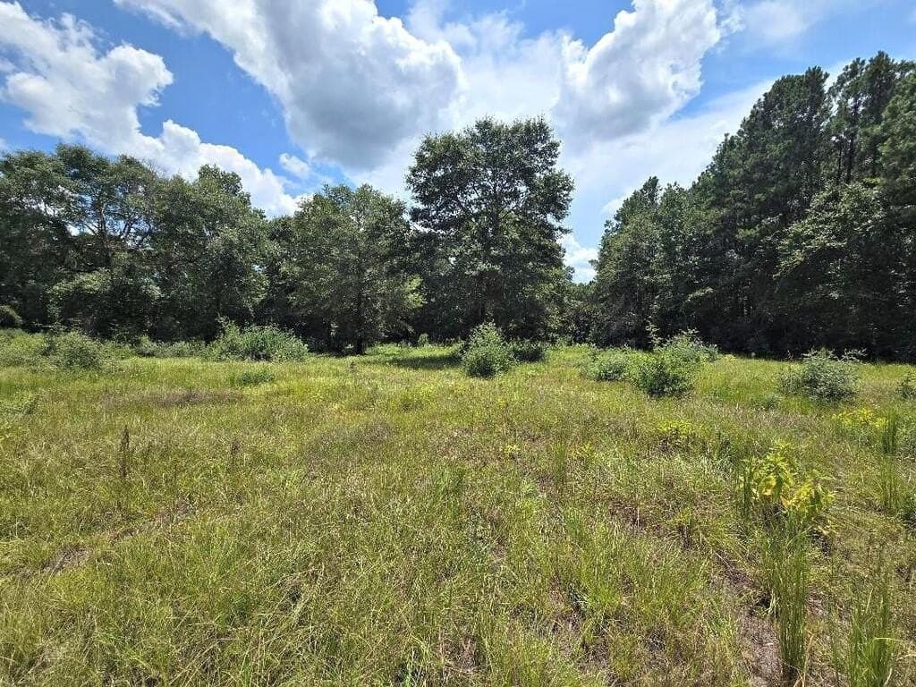 38.49 acres in Texas County - photo 8